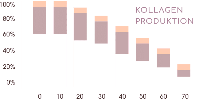 Kollagen produktion2