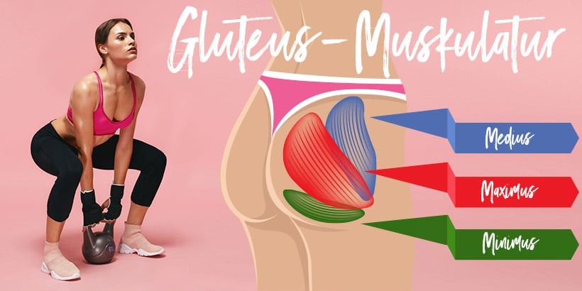 Po knackiger po gluteus2