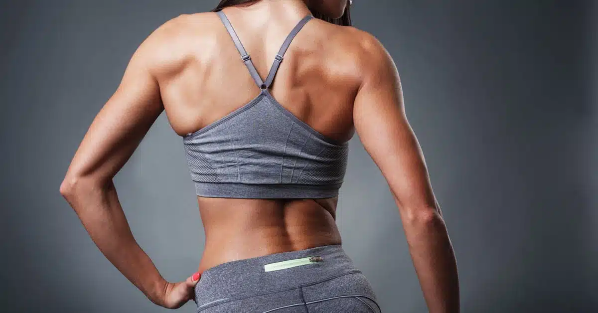 Shoulder